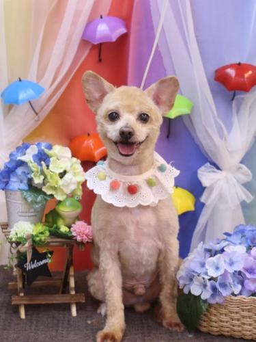 20230610ロイくん